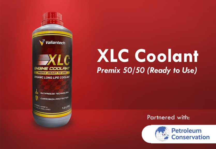 XLC 5050_TEST1