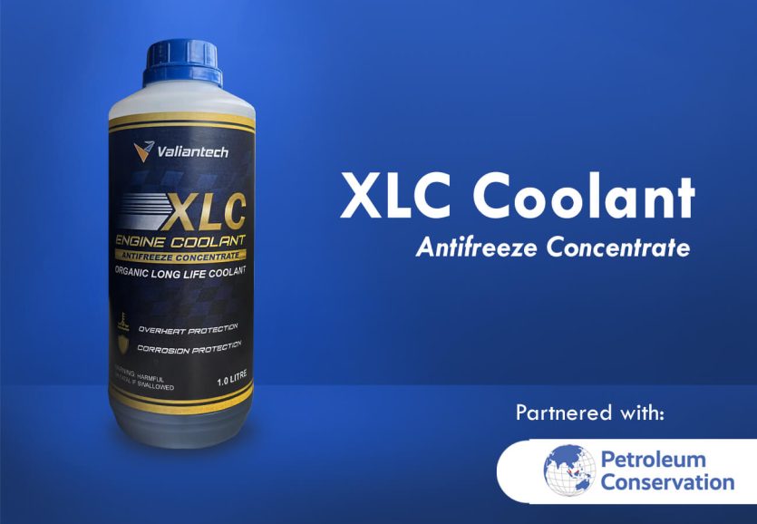 XLC 5050_TEST2